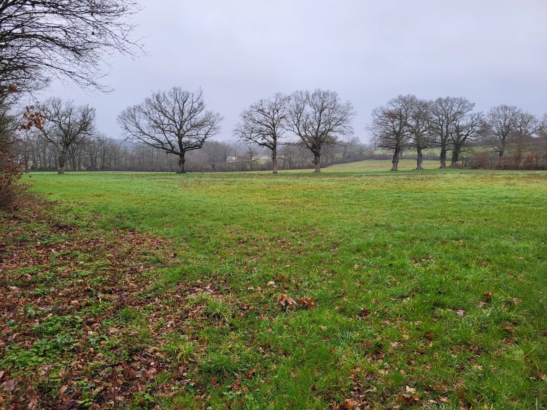 What a campsite opportunity! Dream location with Planning Permission