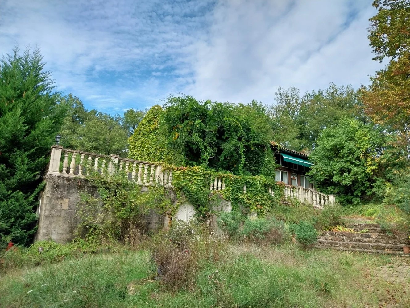 Charmante Maison en Forêt avec Vue Imprenable et Grand Potentiel