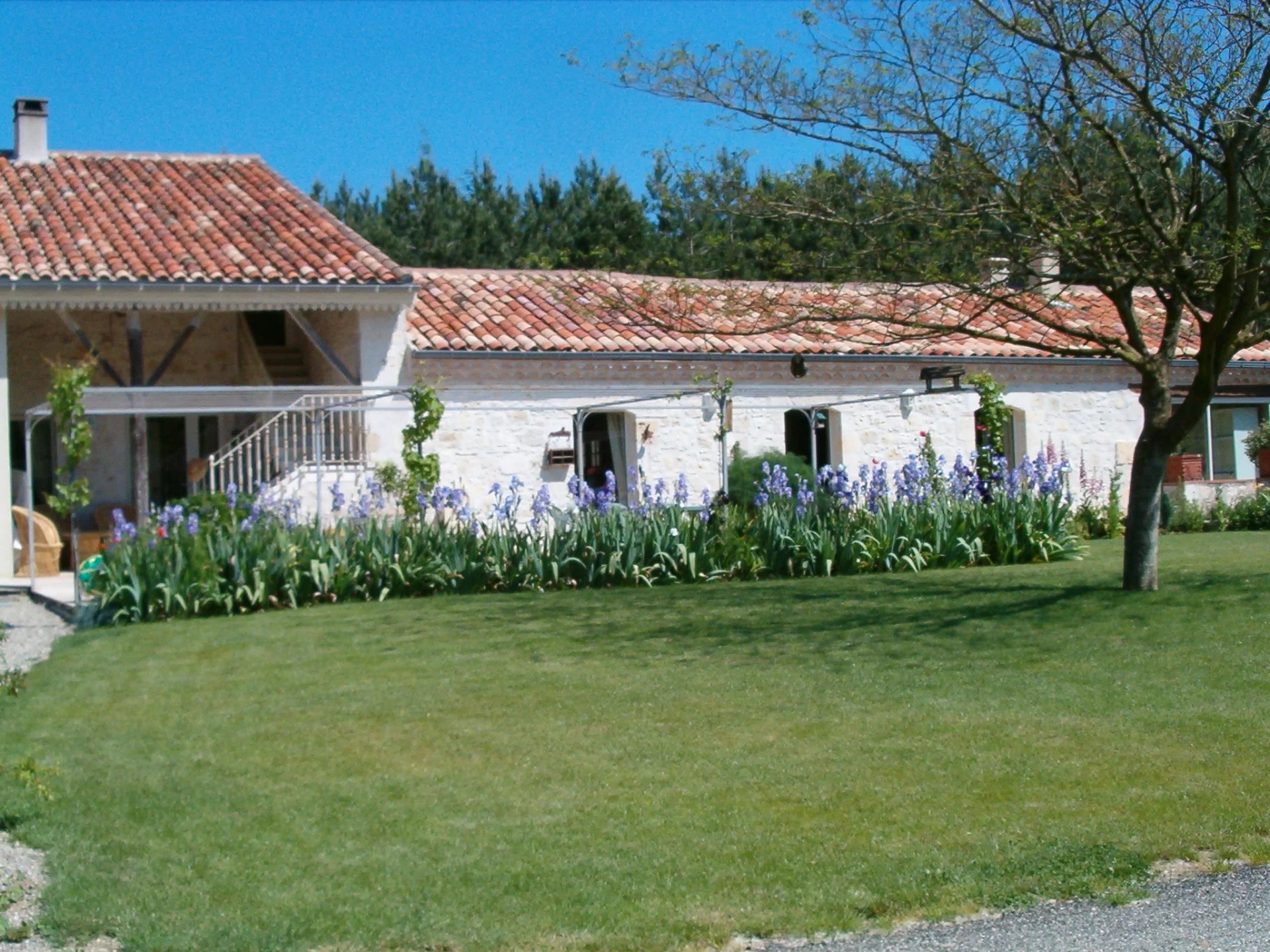 Beautiful renovated farmhouse with a large wooded plot