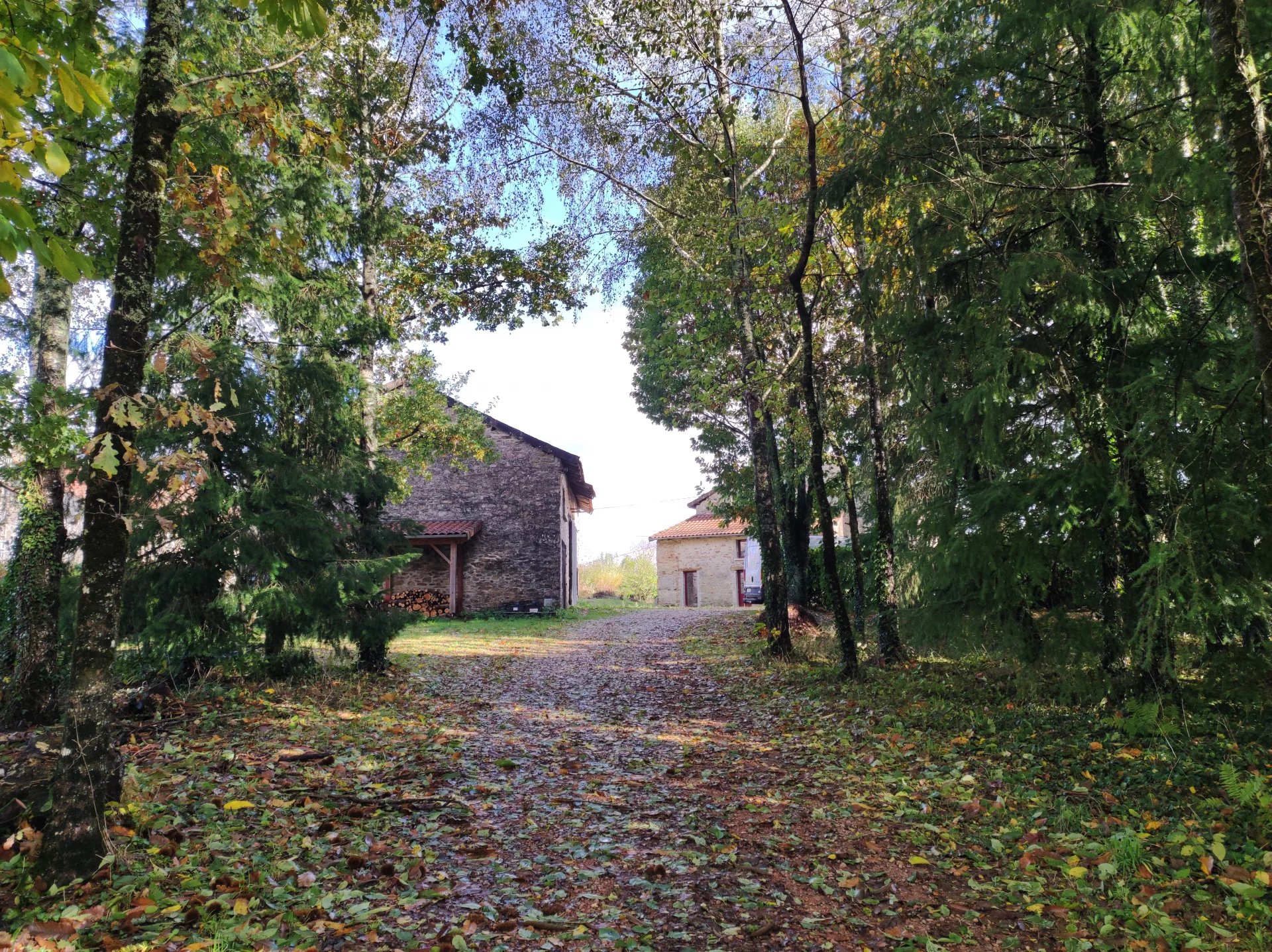 Lovely cottage near Cussac