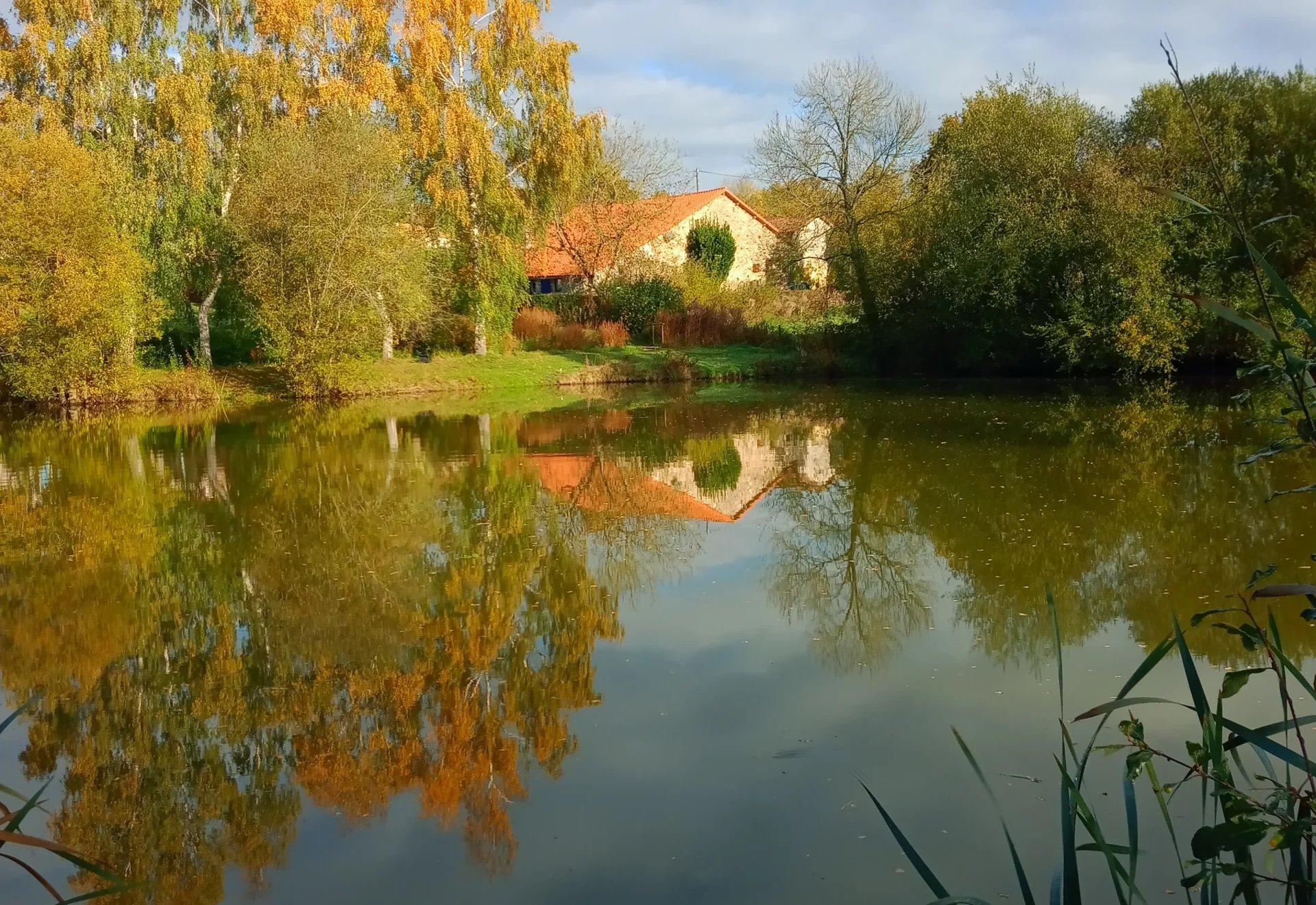 Etangs de pêche avec 2 maisons, sur 2,1 hectares.