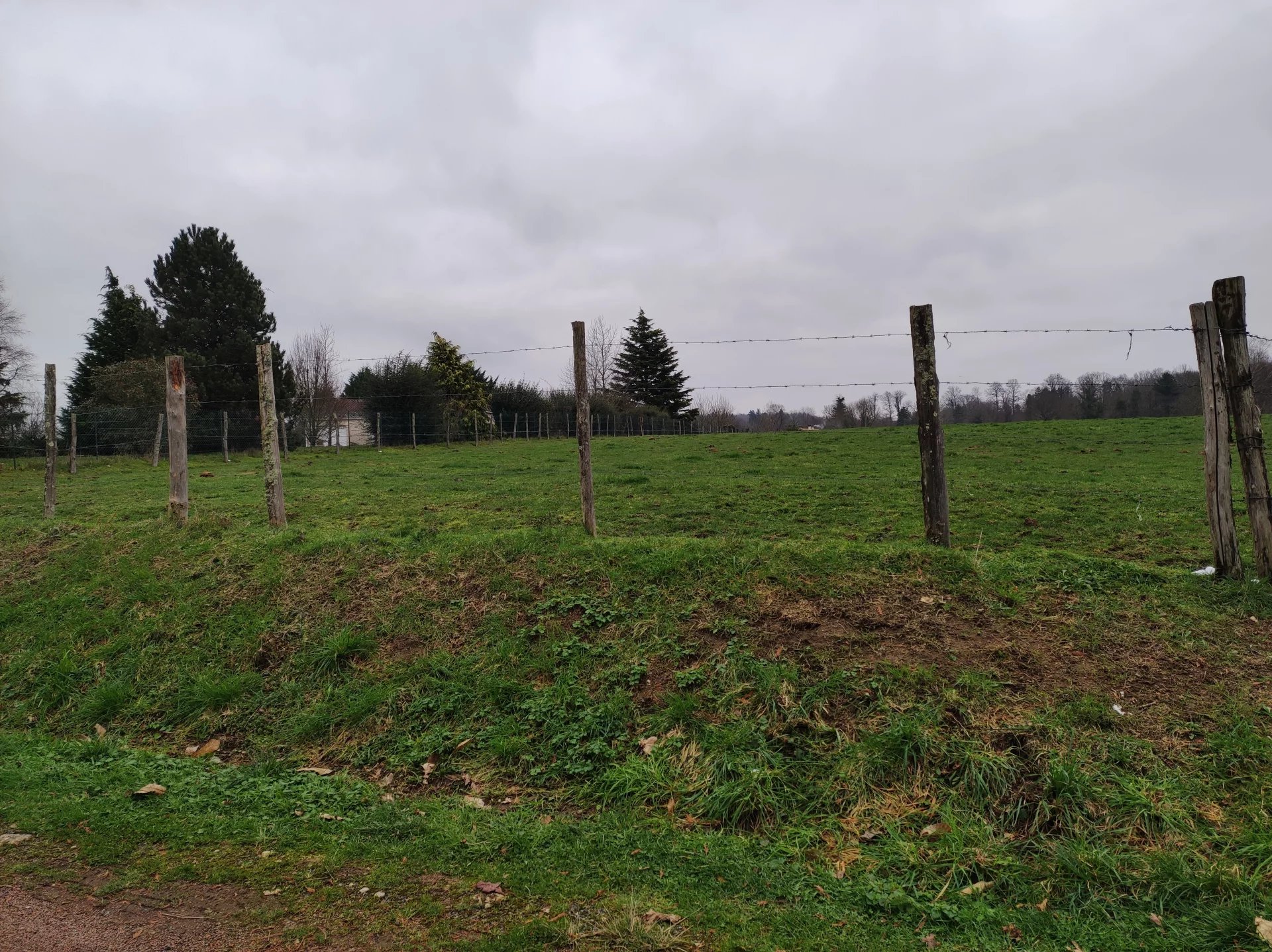 Terrain constructible de 1 hectare