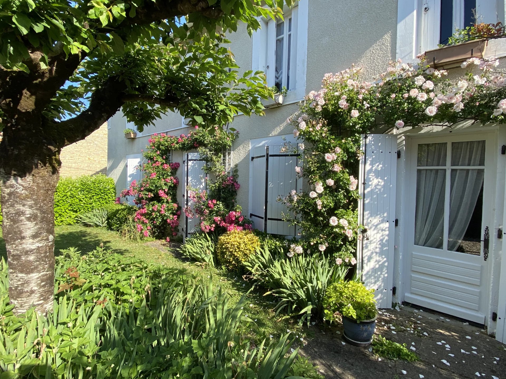 Belle maison de 3 chambres avec piscine creusée, 2 maisons d'amis et possibilité d'en créer une troisième.