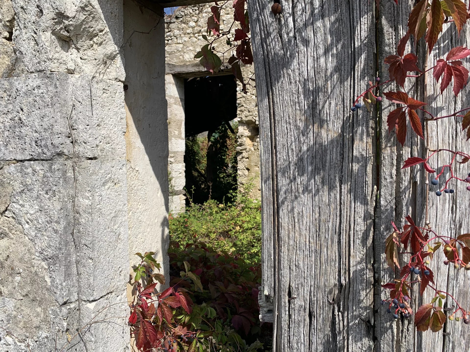 Farmhouse in need of renovation