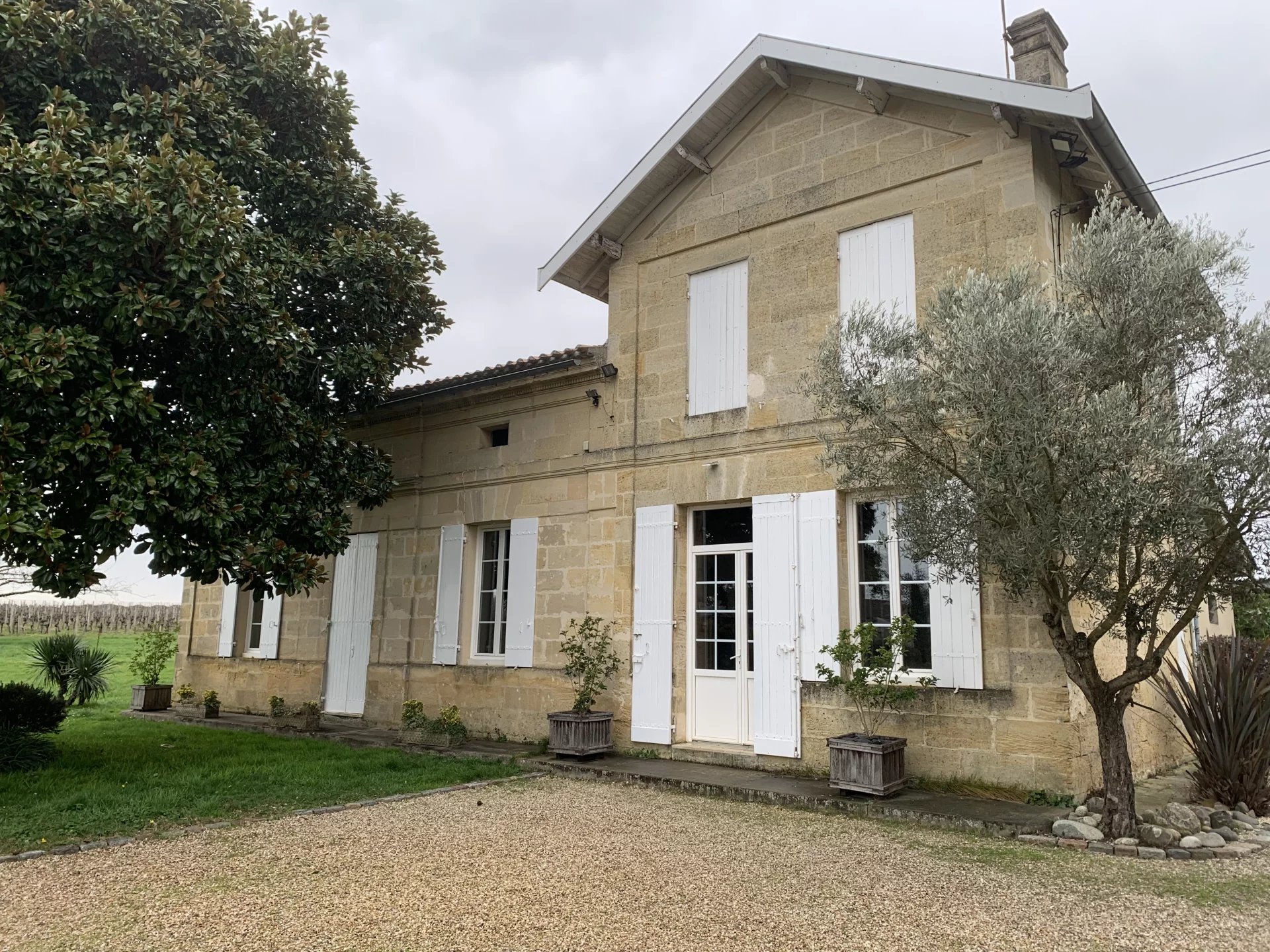 Vineyard on the outskirts of Saint-Emilion