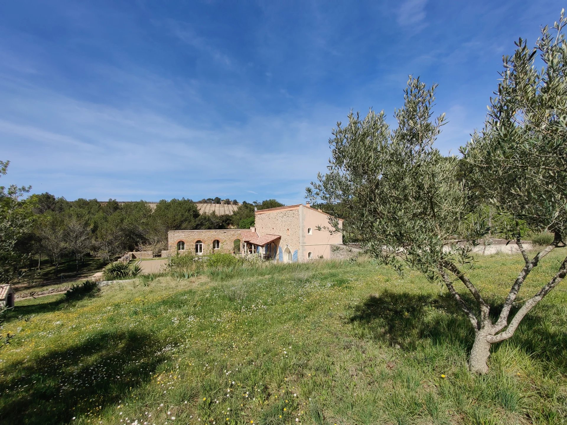 Villa historique rénovée entourée d'oliviers et de vignes à moins d'une heure de la mer Méditerranée