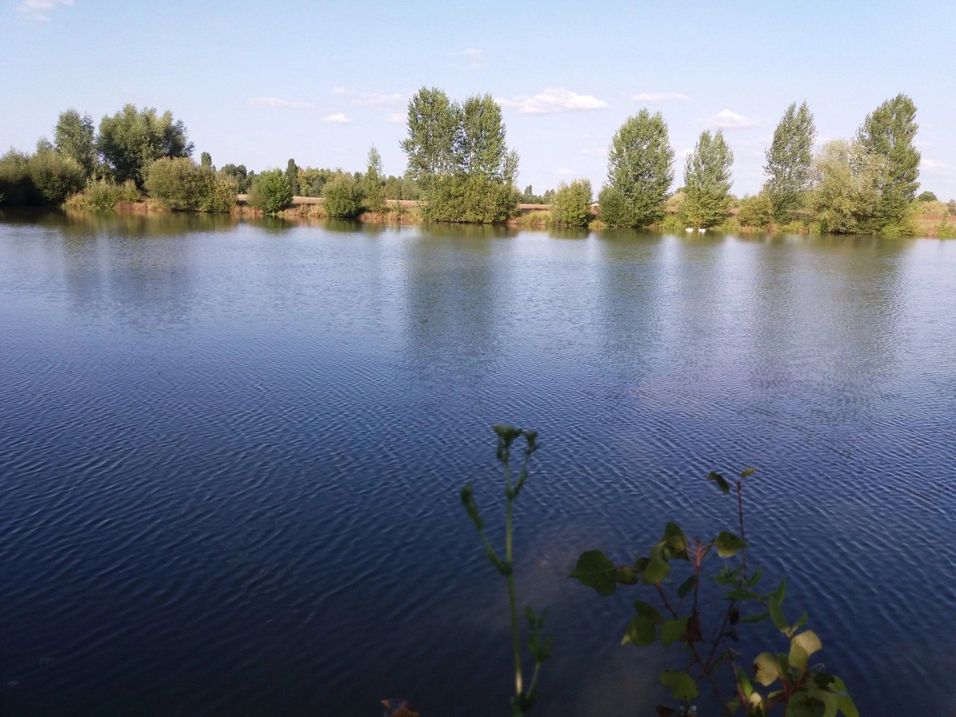 Lake of 7 hectares surrounded with 5 ha of land and a barn to restore