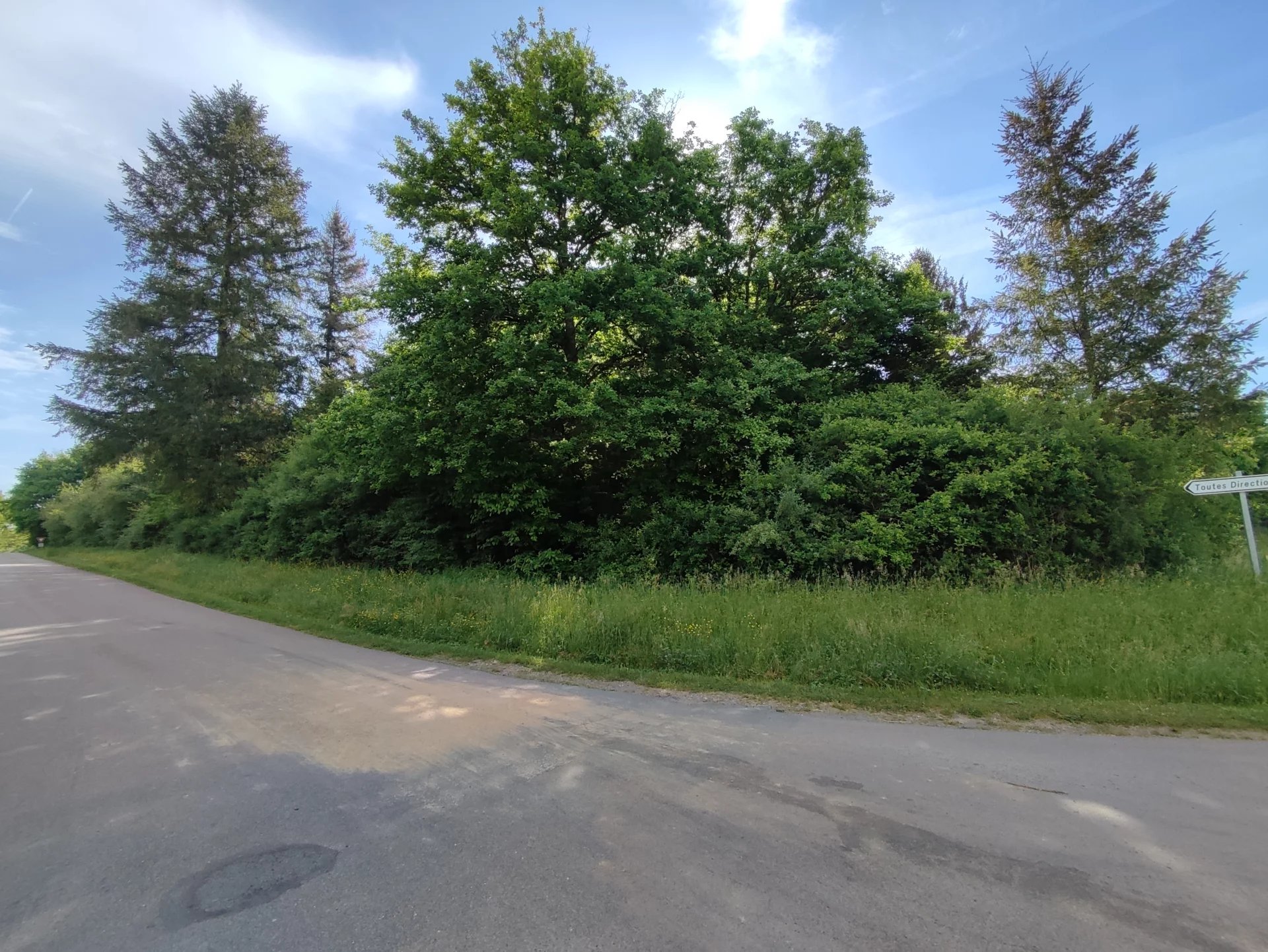 Wooded land with river view