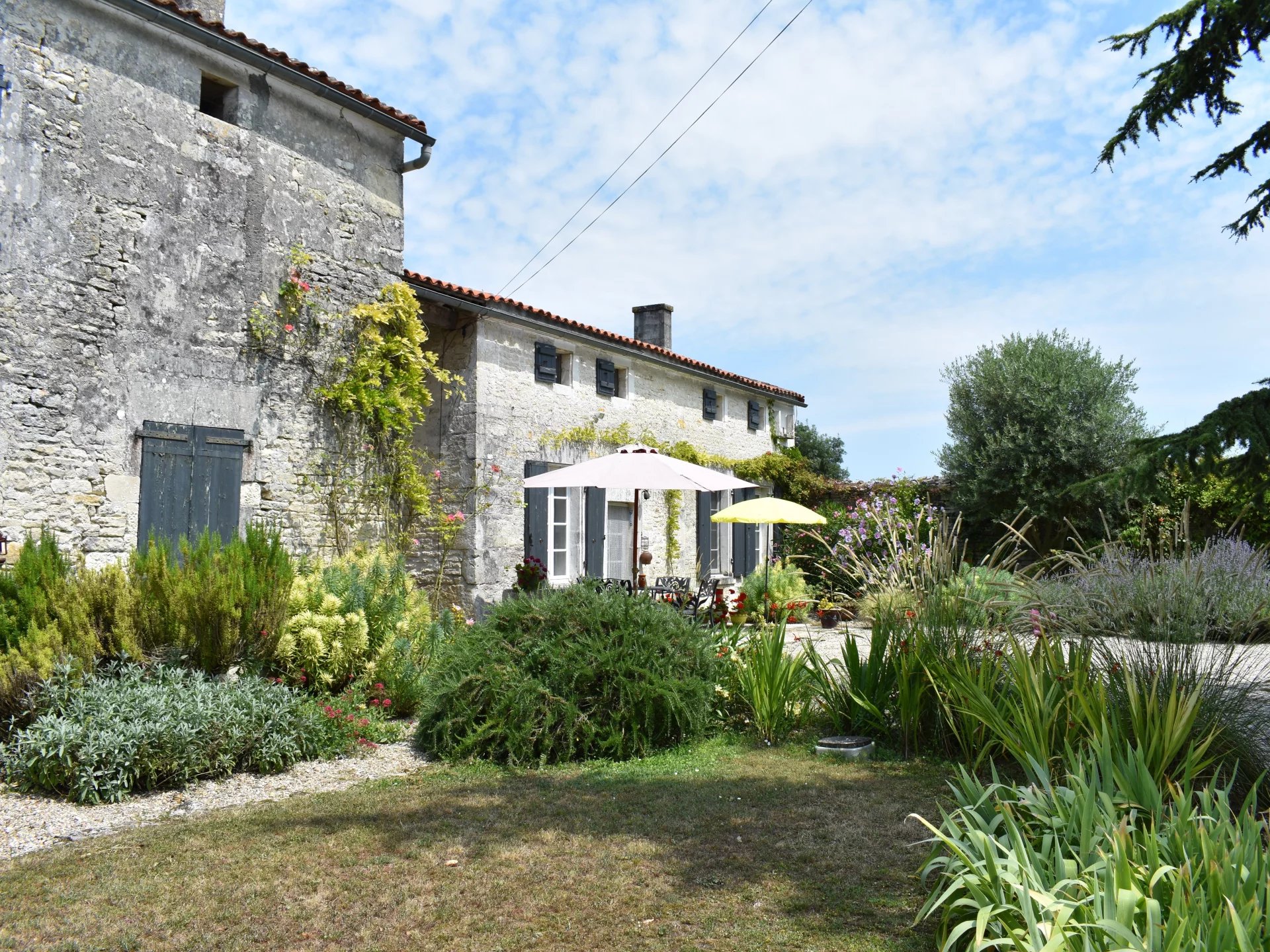 Beautiful property with swimming pool and land not far from Cognac