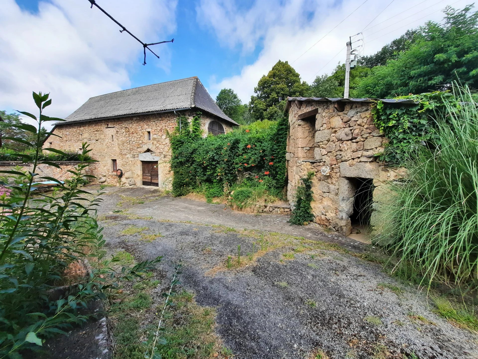 Maison Charmante sur plus de 3,5Ha avec piscine