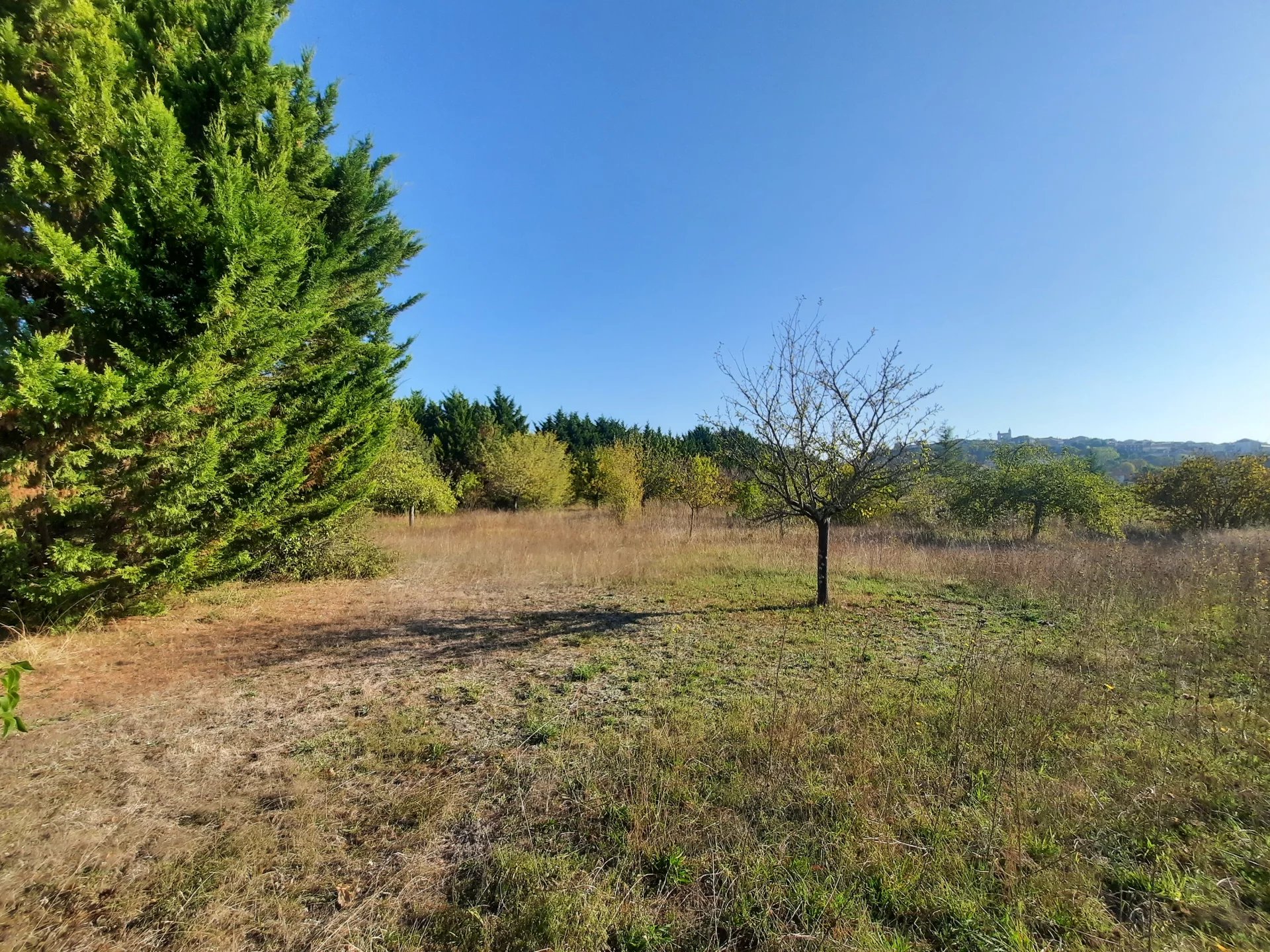 Nice plot of constructible land near a bastide